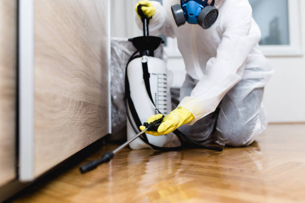 Best Affordable Pest Control Services  in Lewiston, CA