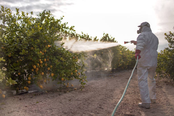 Best Exterminator Services  in Lewiston, CA