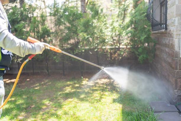 Best Rat Extermination Near Me  in Lewiston, CA