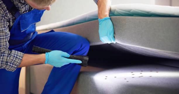  Lewiston, CA Pest Control Pros