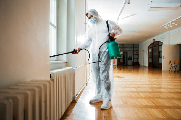 Best Affordable Pest Control Services  in Lewiston, CA
