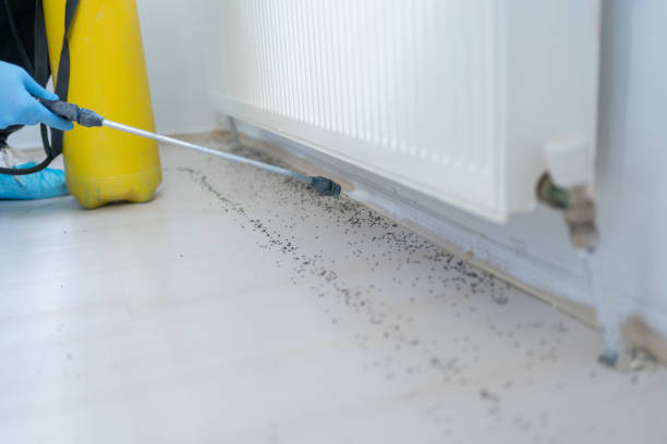 Best Commercial Pest Control Services  in Lewiston, CA