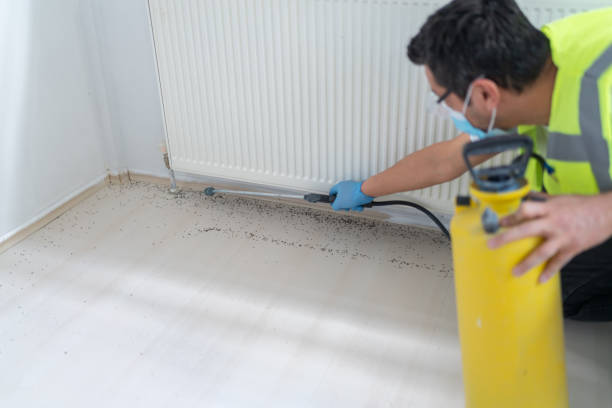 Best Mosquito Control Services  in Lewiston, CA