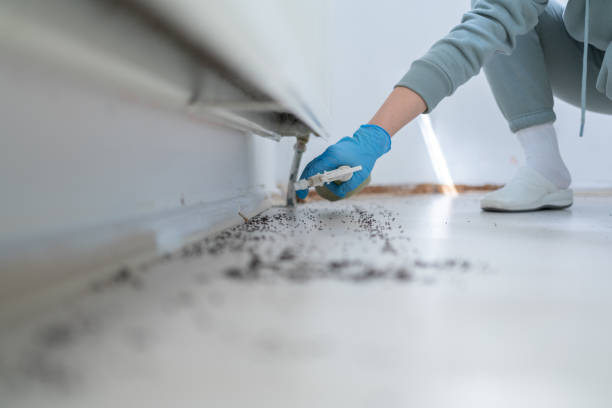 Best Bed Bug Extermination  in Lewiston, CA