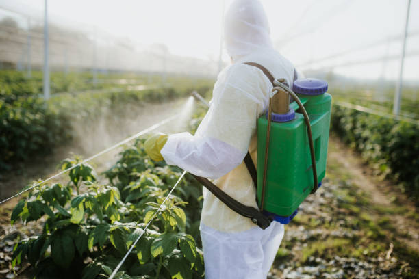 Best Pest Removal Services  in Lewiston, CA